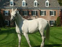 Image result for Cliff Hatch Stables