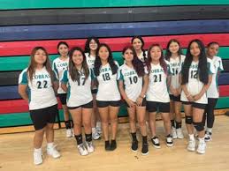 Image result for Chesterfield Cobras Volleyball Club