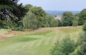 Image result for Flint Golf Club