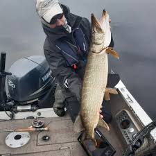 Image result for Segdoune Flyfishers` Angling Club