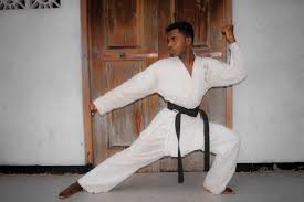 Image result for Kenshukai Karate