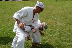 Image result for Budo Shin Ryu Kempo Jujitsu Academy