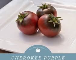 Afbeeldingsresultaat voor cabin tomato