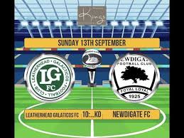 Image result for Newdigate F C