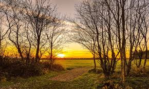 Image result for Haverfordwest Cricket Club