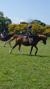 Image result for Dalkeith Park Equestrian Club