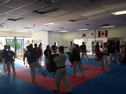 Image result for Surrey Taekwondo