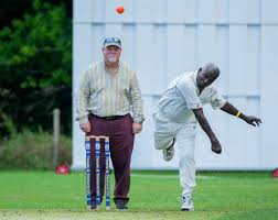 Image result for Bucklebury Cricket Club