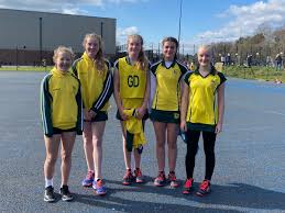 Image result for Fetcham Netball Club
