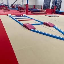Image result for Redcar Gymnastics Club