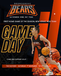 Image result for Bromsgrove Blaze Basketball Club