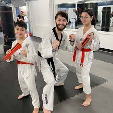 Image result for INTERNATIONAL HAPKIDO TAMWORTH