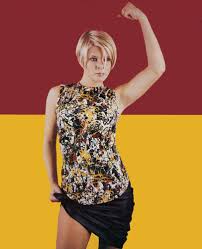 Image result for robyn