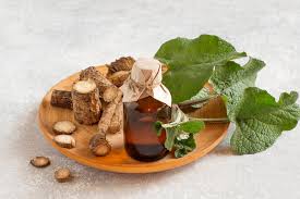 Attēlu rezultāti vaicājumam “Arctium lappa fruit”