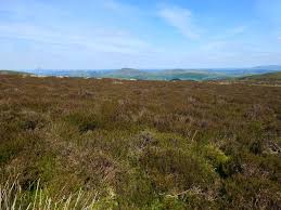 Image result for Long Mynd