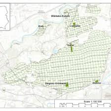 Attēlu rezultāti vaicājumam “Cribraria costata spores”