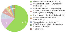 Attēlu rezultāti vaicājumam “Pogonatum dentatum”