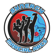 Image result for Synergy Tae Kwon Do
