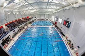 Image result for Lutterworth Swimming Club