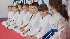 Image result for Martial Arts Karate Mesa AZ