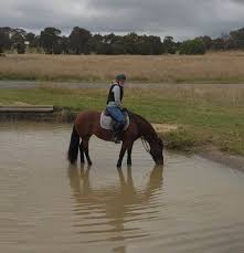 Image result for Chobham and District Riding Club