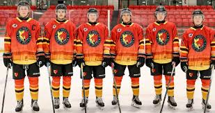 Image result for Streatham Night Wolves Ice Hockey Team