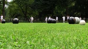 Image result for Nypro Bowls Club