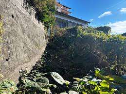 Image result for 4870315629土井