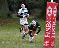 Image result for Effingham and Leatherhead Rfc