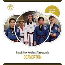 Image result for Taekwondo Athletes Program USA