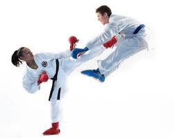 Image result for COMBAT TAEKWONDO