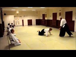 Image result for Basingstoke Aikido Club