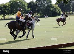 Image result for Kirtlington Park Polo Club