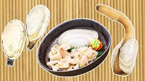 Image result for geoduck