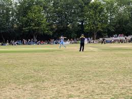 Image result for Louth Cricket Club