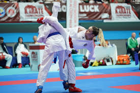 Image result for United Sport Karate