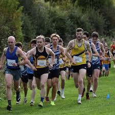 Image result for Annadale Striders Ac