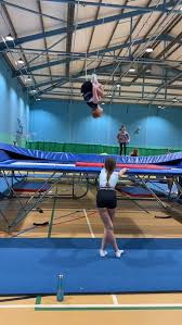 Image result for Swallows Trampoline Club