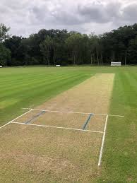 Image result for Mellis Cricket Club