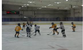 Image result for Shrewsbury Hockey Club