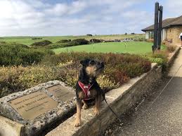 Image result for Bridport & West Dorset Golf Club Ltd