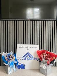 Image result for Basingstoke Sc