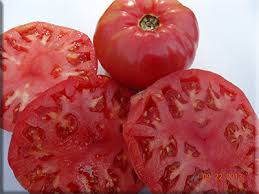 Afbeeldingsresultaat voor caspian pink tomato