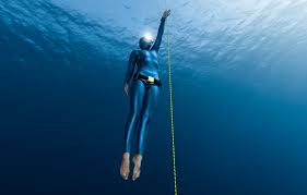 Image result for Blue Water Freediving School