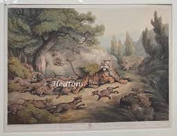 Image result for Shooting, Hunting, Fieldsports on Art prints from 1700's to 1900's