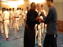 Image result for Ryuko Dojo