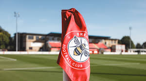 Image result for Staines Albion Fc