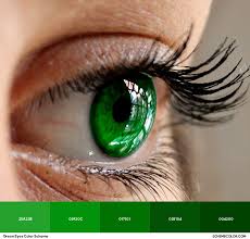 Znalezione obrazy dla zapytania green