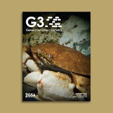 Image result for Cancer borealis