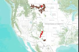 Image result for Cycleptus elongatus